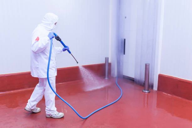 Best Graffiti Removal  in Elmo, TX