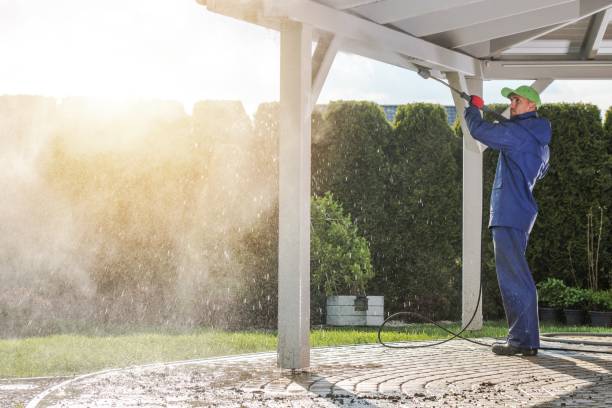 Best Solar Panel Cleaning  in Elmo, TX