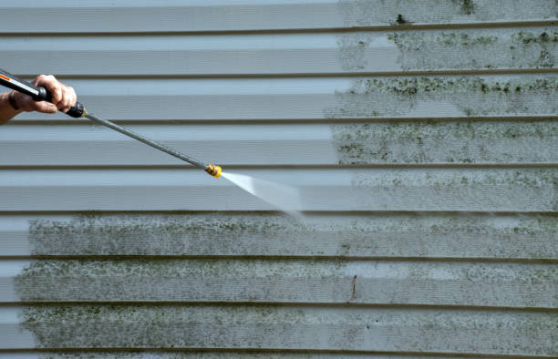 Professional Pressure Washing in Elmo, TX