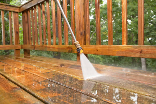 Best Roof Washing  in Elmo, TX